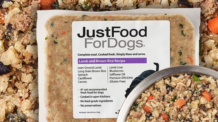 Just food for dogs diy