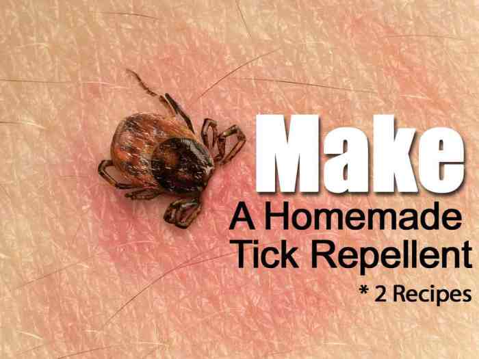 Tick repellent oils themommadiaries